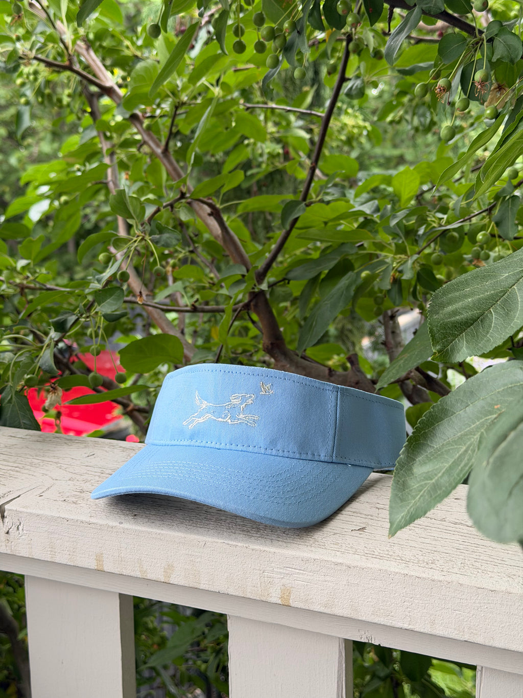 Logo'd Visor