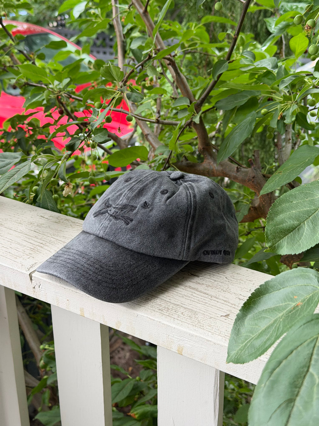Logo'd Dad Hat