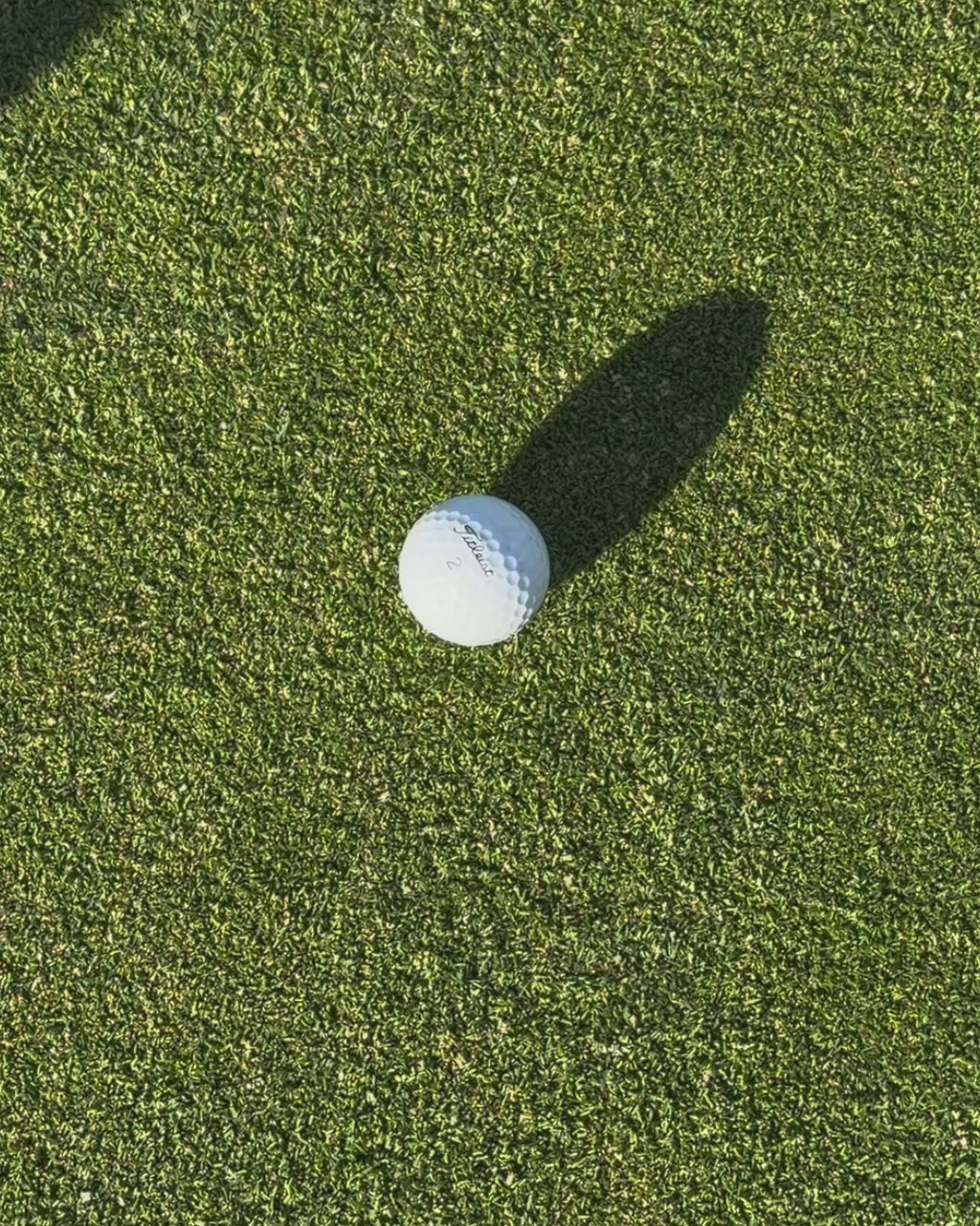 Quincy Logo Ball Marker + Clip